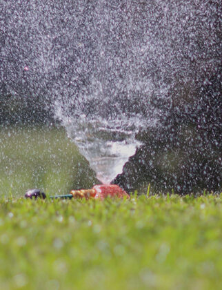 gras-onderhoud-header